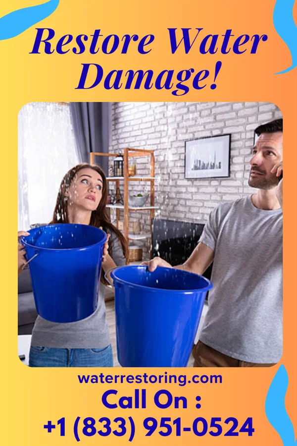 water restoration Classic Extraction Professionals Elliott